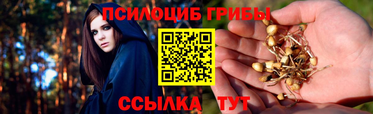 Псилоцибиновые грибы прущие грибы  Вход с VPN  Усолье-Сибирское 